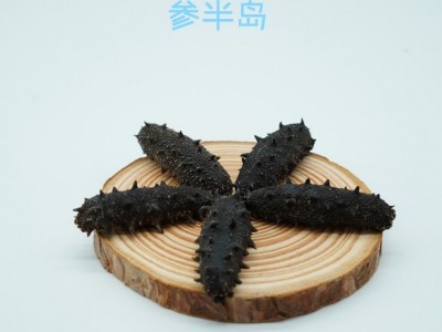 执中大连纯淡干海参工厂批发辽刺参礼盒非即食海参源头图2