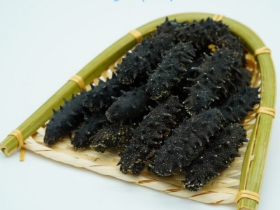 执中大连纯淡干海参A干货源头工厂批发辽刺参礼盒非即食海生图2