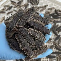 大连执中海产品淡干海参30—100T源头厂家现货批发辽参礼盒