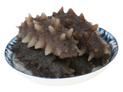 大连冷蒸即食海参 水产批发辽参即食海参500g散装海参大连图4