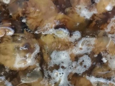 小额批发即食入味海蜇头图5
