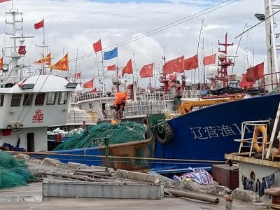 营口滢辉海蜇头海蛰块丝片非即食可桶装 海蜇块一份500g图3