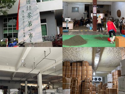 深谷高山云雾绿茶新茶 明前炒青绿茶散装 日照浓香型茶叶批发市场图2