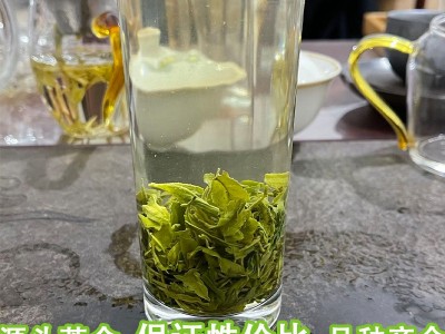 深谷高山云雾绿茶新茶 明前炒青绿茶散装 日照浓香型茶叶批发市场图4