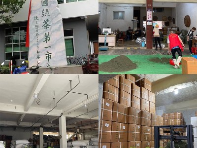 云雾绿茶 香茶 日照炒青厂家批发2022新茶高山绿茶散装深谷茶叶图3