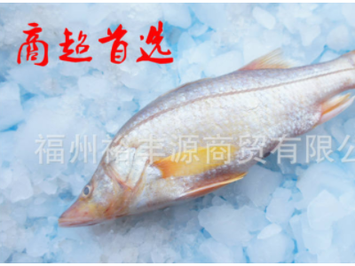 冻鲈鱼海鲈鱼/野生金目鲈/富贵鱼/野生鲈鱼/腌制鲈鱼/开片鲈鱼图2