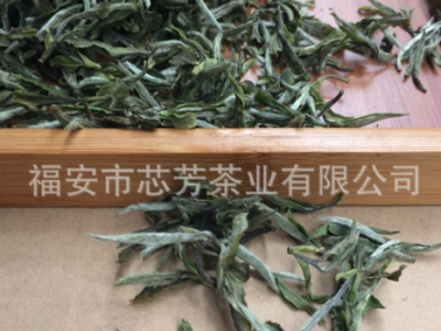 福建福鼎白茶一芽一叶散装白牡丹高山生态日晒茶厂家批发图3