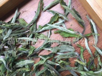 福建福鼎白茶一芽一叶散装白牡丹高山生态日晒茶厂家批发图2