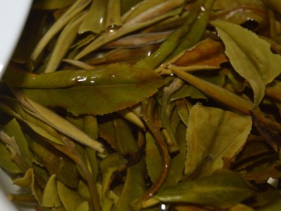 2022年头采春茶白牡丹散装福建福鼎白茶散茶茶叶批发图4