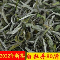 2022年头采春茶白牡丹散装福建福鼎白茶散茶茶叶批发