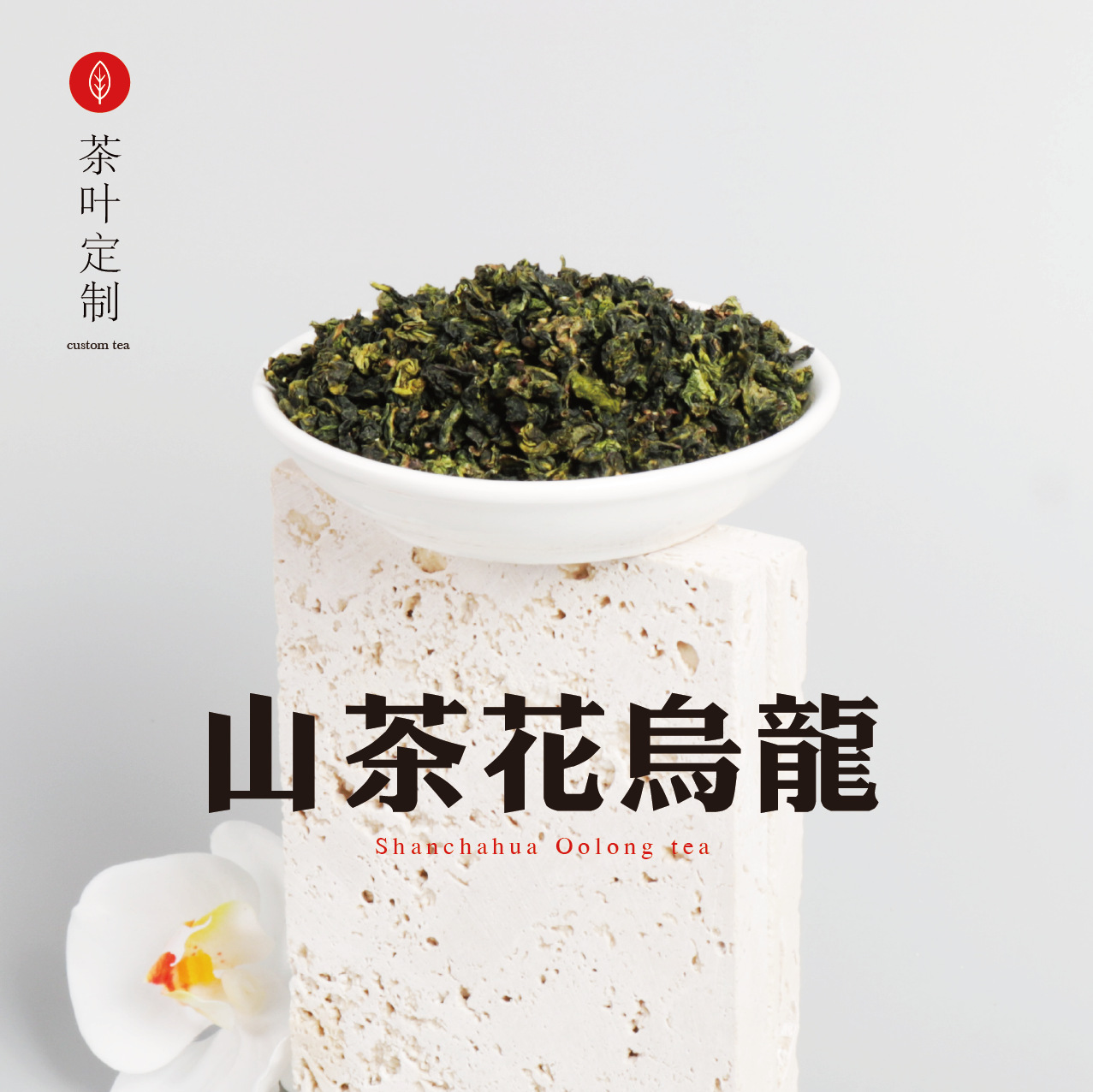 山茶花-11