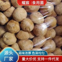古田猴头菇干货500g 蘑菇煲汤猴头菌茹补胃特产低价厂家批发