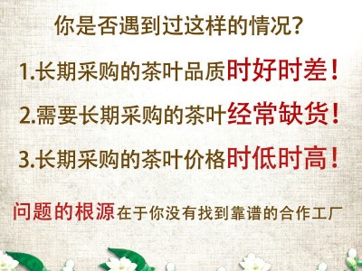 2022新茶横县茉莉花茶白玉芽茉莉毛尖散装浓香花茶茶叶厂家批发图2