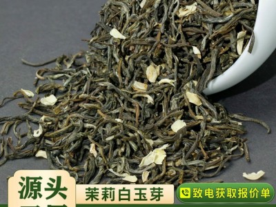 2022新茶横县茉莉花茶白玉芽茉莉毛尖散装浓香花茶茶叶厂家批发图3