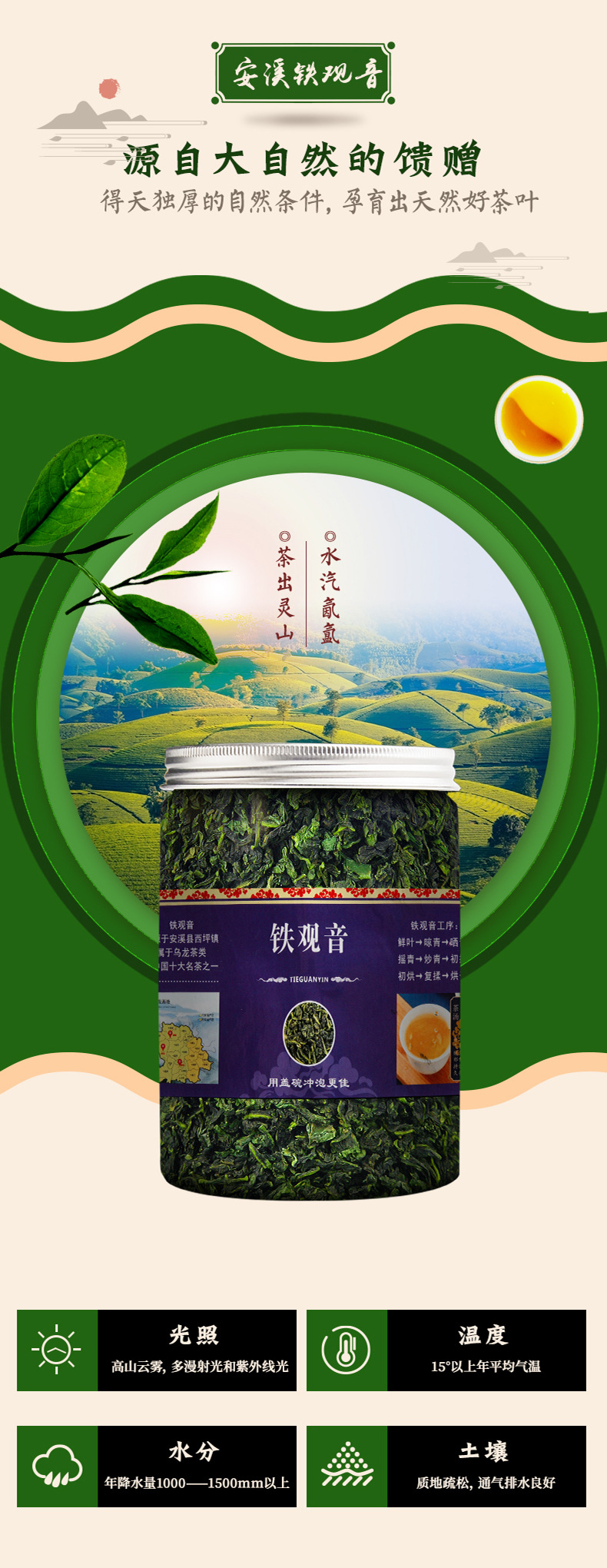 铁观音-详情页文件_02.jpg