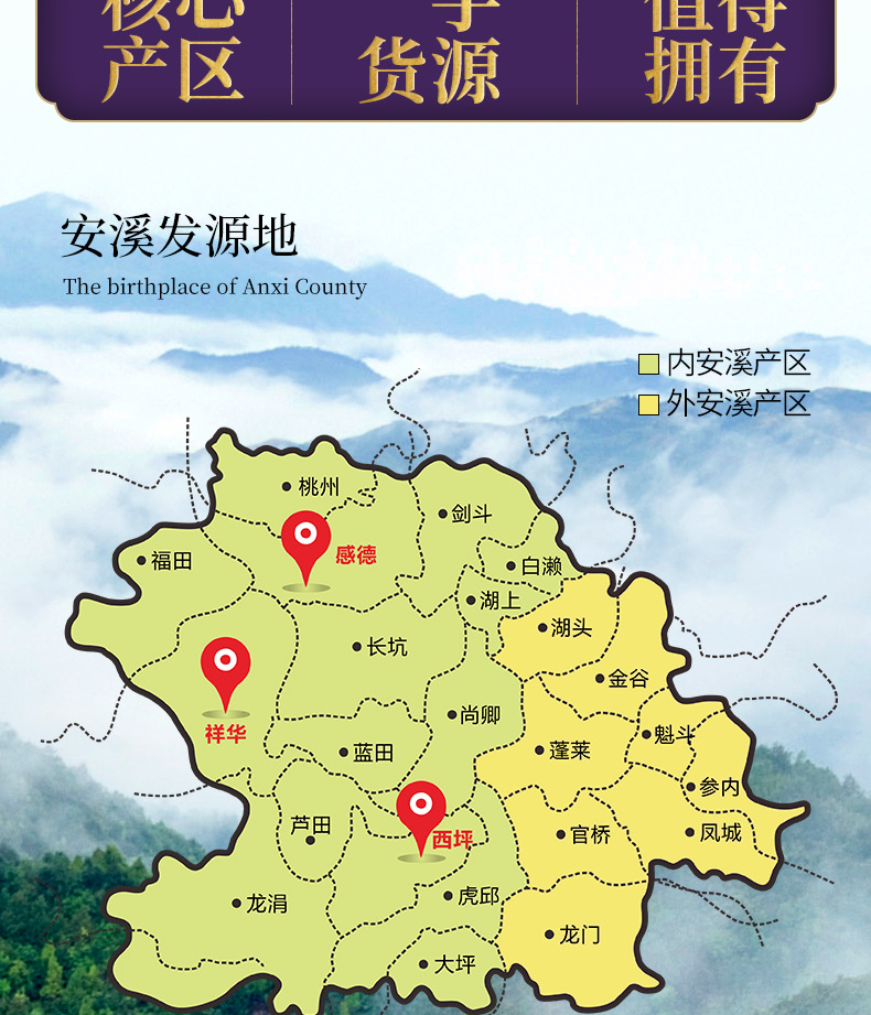 铁观音_03.jpg