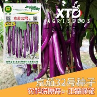 茄子种子紫长茄种子紫色茄子种子国产蔬菜京研京茄32号紫茄种子