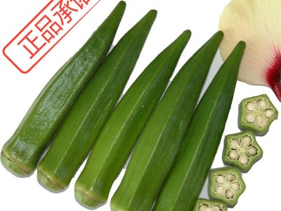 黄秋葵红秋葵蔬菜养生补肾菜 四季播 特色蔬菜种子包邮图5