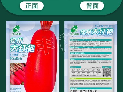 合肥种业 秋季萝卜种子红皮白肉水果萝卜种籽菜种籽秋季蔬菜种孑图4