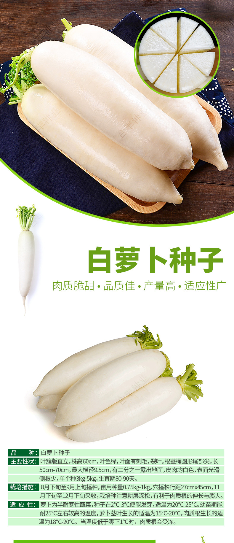 浙大长白萝卜详情页_01.jpg