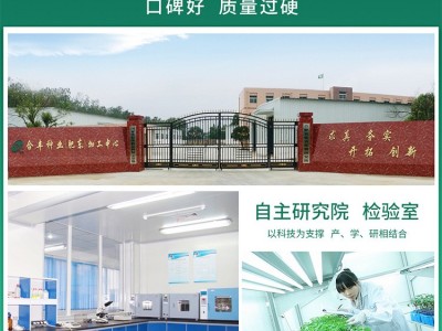 厂家批发 黑大头菜籽青菜种子大叶黑叶油亮矮脚苏州青上海青菜蔬图3