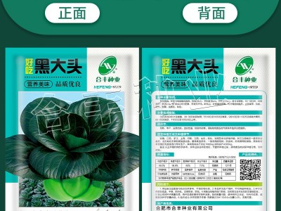 厂家批发 黑大头菜籽青菜种子大叶黑叶油亮矮脚苏州青上海青菜蔬图4