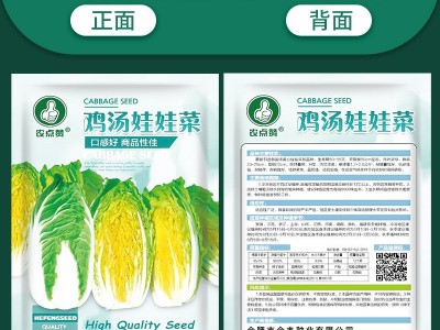 娃娃菜种子四季黄心白菜新鲜快菜青菜白菜籽家庭耐寒蔬菜种子批发图4