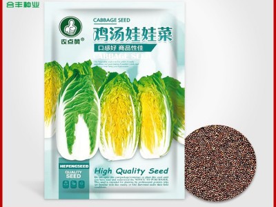 娃娃菜种子四季黄心白菜新鲜快菜青菜白菜籽家庭耐寒蔬菜种子批发图5