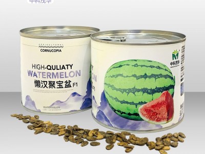 中科茂华水果种子中科黄金帅西瓜种子金玲珑黄皮红肉礼品西瓜小型图5