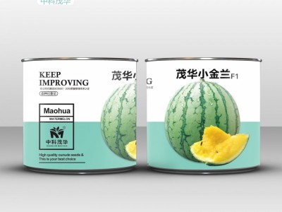 中科茂华瓜果种子茂华小金兰礼品西瓜种子黄肉超小风类500粒/盒图5