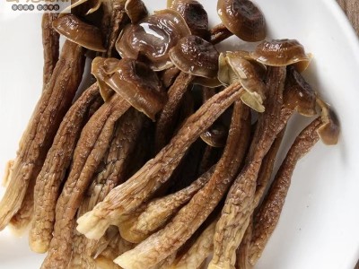 云南野生菌鹿茸菌鹿茸菇脆脆菇煲汤食材酒店餐饮火锅供应蘑菇图3