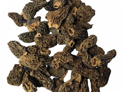 云南特产野生羊肚菌香格里拉丽江正品蘑菇批发干货产地直发图5