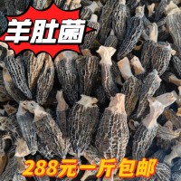 云南野生菌羊肚菌批发蘑菇羊肚菌羊肚菇500克一袋一斤包邮