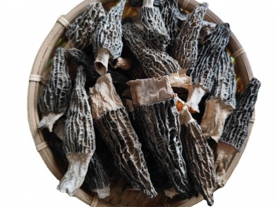 云南野生菌羊肚菌批发蘑菇羊肚菌羊肚菇500克一袋一斤包邮图4