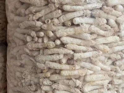 云南特产织金红托竹荪野生竹荪竹笙蘑菇产地直发贵州织金竹荪图3