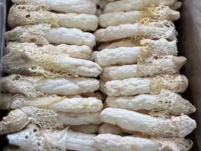 云南特产织金红托竹荪野生竹荪竹笙蘑菇产地直发贵州织金竹荪图2