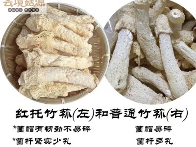 云南特产织金红托竹荪野生竹荪竹笙蘑菇产地直发贵州织金竹荪图4