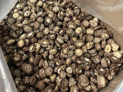 花菇干货批发茶花干香菇湖北随州花菇冬菇500g图4