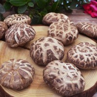 花菇干货批发茶花干香菇湖北随州花菇冬菇500g
