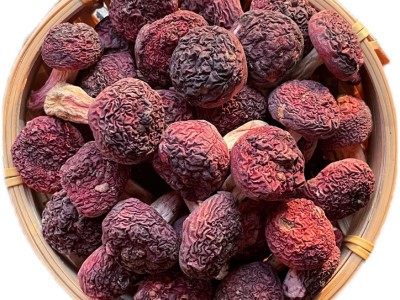 正红菇干货批发福建武夷山三明红蓝底红蘑菇菌菇干货月子菇图4