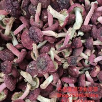 润泽食用菌红菇干货 红菇食用菌红菇大量批发 源头厂家直供