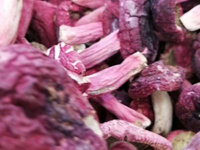 润泽食用菌红菇干货 红菇食用菌红菇大量批发 源头厂家直供图3