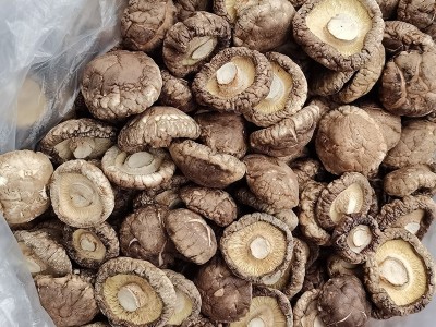 润泽食用菌南北干货香菇 冬菇肉厚无根小蘑菇干 干货小香菇批发图4