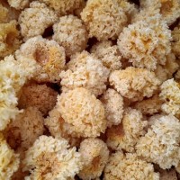 润泽食用菌 小银耳 干货农产品 源头厂家直供批发
