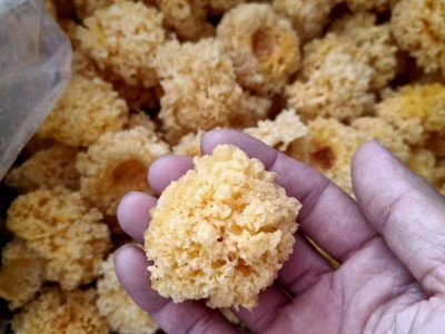 润泽食用菌 小银耳 干货农产品 源头厂家直供批发图3