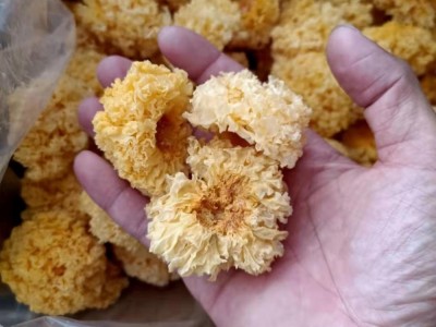 润泽食用菌 小银耳 干货农产品 源头厂家直供批发图2