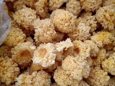 润泽食用菌 小银耳 干货农产品 源头厂家直供批发图5