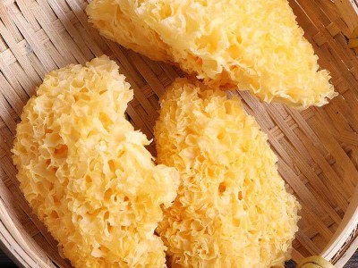 古田特产丑耳块银耳 软糯食用菌干货多胶雪耳金耳 散装批发图3