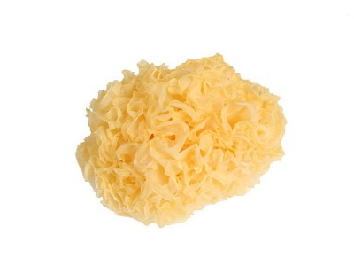 古田特产丑耳块银耳 软糯食用菌干货多胶雪耳金耳 散装批发图4