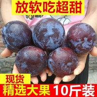 【24H发货】现摘陕西黑布林李子整箱10/5斤应季新鲜孕妇水果批发